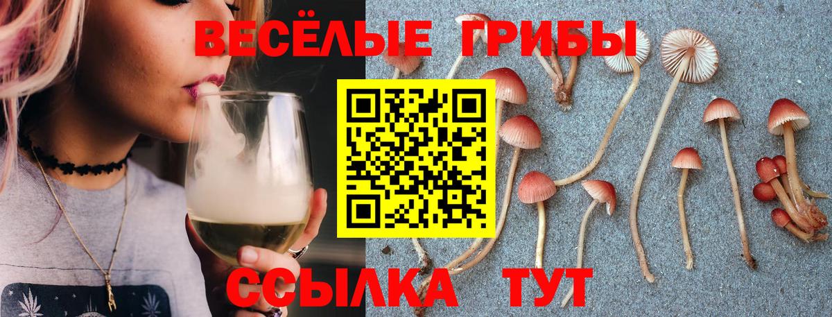 Псилоцибиновые грибы ЛСД Октябрьский