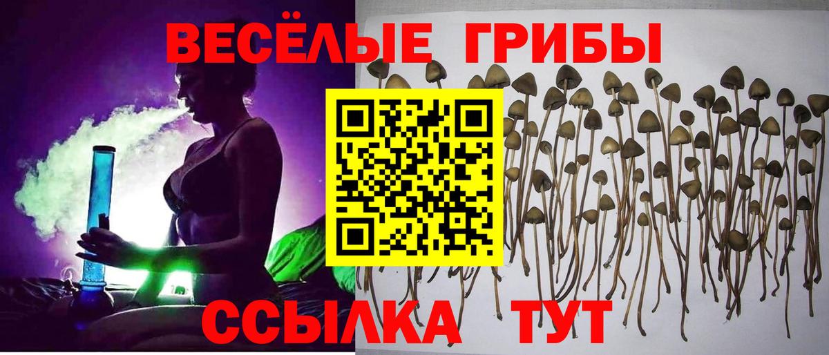 Псилоцибиновые грибы Psilocybine cubensis  Вход с VPN  Октябрьский 